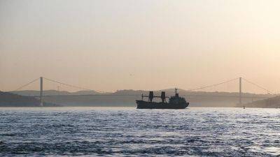 В проливе Босфор приостановлено движение судов - trend.az - Турция