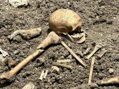 В поселке Суговушан обнаружены фрагменты костей, предположительно принадлежащих человеку - trend.az - Азербайджан - район Тертерский - район Агдеринский
