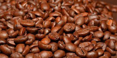 Цены на кофе сорта робуста поднялись до максимума за 45 лет - detaly.co.il - Лондон - Вьетнам