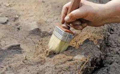 Волонтер обнаружил древнюю украшенную чашу на раскопках в Хирбет Каяфа - mignews.net - Израиль