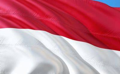 Джон Байден - Индонезия готова направить миротворцев в Газу - mignews.net - Сша - Индонезия - Президент