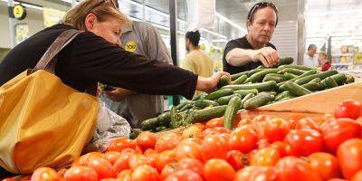 Минсельхоз поможет израильским фермерам увеличить поставки томатов на местный рынок - detaly.co.il - Израиль - Турция