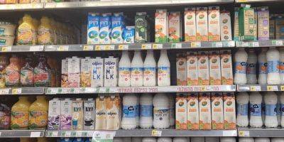 Молочный праздник? Израильтяне все быстрее переходят на заменители молока - nep.detaly.co.il - Израиль