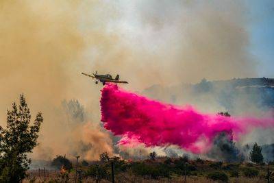 Огромные пожары на севере Израиля и перспективы действий «Хизбаллы» - news.israelinfo.co.il - Израиль - Ливан