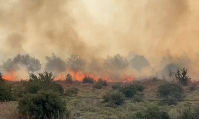 Пожары на севере взяты под контроль - mignews.net - Израиль - Ливан