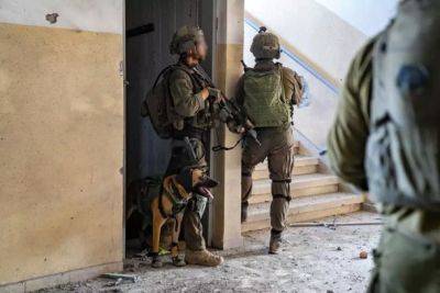 Армейская собака ЦАХАЛ погибла в бою с террористами в Дженине - nashe.orbita.co.il - Израиль