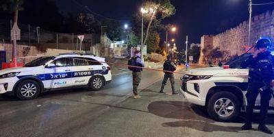 Еще одно убийство с применением огнестрельного оружия, теперь в Негеве - detaly.co.il - Израиль