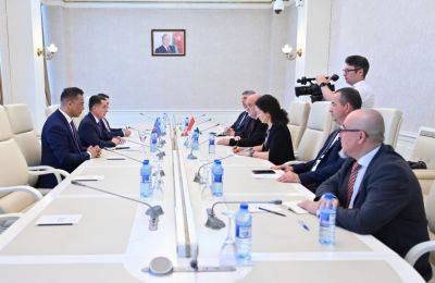 Сахиба Гафарова - Венгерские парламентарии посетили Милли Меджлис (ФОТО) - trend.az - Азербайджан - Венгрия