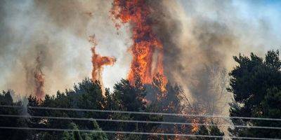 Гиль Элияг - Пожары из-за обстрелов нанесли огромный ущерб природе на севере - detaly.co.il - Израиль - Ливан