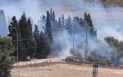 Пожар в оливковых рощах палестинского города приписывают поселенцам - mignews.net - Палестина