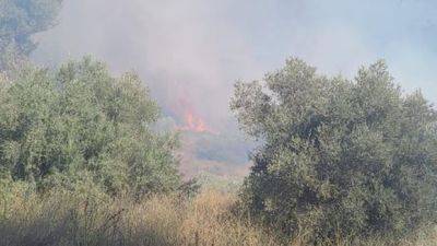 Фахреттин Коджа - В Турции люди гибнут из-за лесных пожаров - mignews.net - Турция