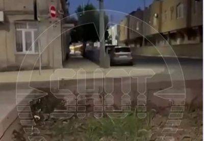 Террористы забаррикадировались в жилом доме в Махачкале - mignews.net - Россия - Махачкала