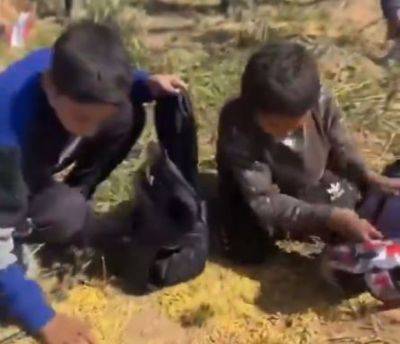 Тысячи детей Газы проверят на предмет недоедания - mignews.net