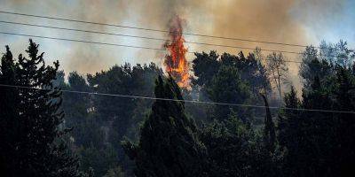 Гиль Элияг - Поджог на горе Скопус в Иерусалиме стал причиной сильнейшего пожара - detaly.co.il - Иерусалим - территория Еврейский Университет