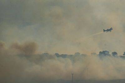 Ущерб от пожаров на Севере Израиля на годы или даже десятилетия - news.israelinfo.co.il - Израиль - Сирия - Ливан