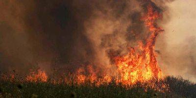 Уже более 20 часов пожарные ведут борьбу с огнем на севере Израиля - detaly.co.il - Израиль