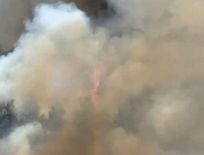 В Бирии огонь почти потушили, но есть еще очаги - mignews.net - Israel - Lebanon - Огонь