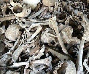 Давид Маген - Обнаружены останки израильтянина, которого считали заложником - isra.com - Израиль