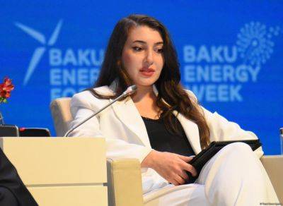 SOCAR планирует реализацию новых проектов в сфере СПГ - trend.az - Эмираты - Азербайджан