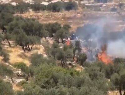 Поселенцы устроили множественные поджоги в палестинских деревнях - mignews.net - Палестина - деревня Бурка - area West Bank