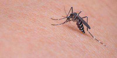 На юге округа Шарон обнаружены комары-переносчики опасной болезни - detaly.co.il