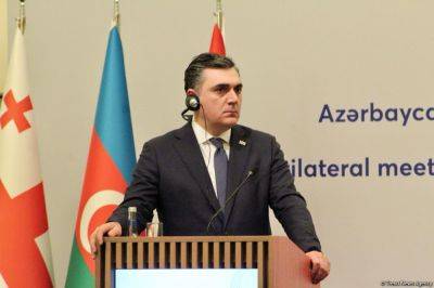 Илья Дарчиашвили - Грузию на саммите НАТО в Вашингтоне представит министр иностранных дел - trend.az - Вашингтон - Грузия - Вашингтон