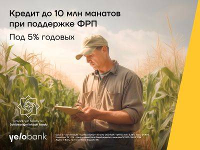 Развивайте свой бизнес с помощью кредита под 5% годовых от Yelo Bank - trend.az