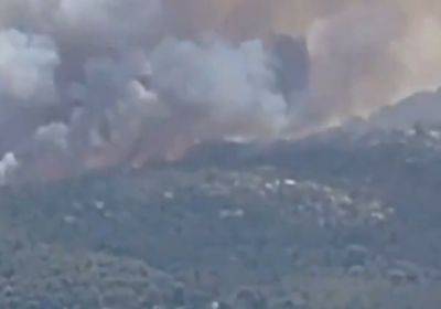 Масштабный пожар в районе Афин: четверо задержанных - mignews.net - Греция