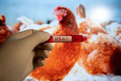 Пандемия птичьего гриппа распространяется в "замедленной съемке" - mignews.net - Сша