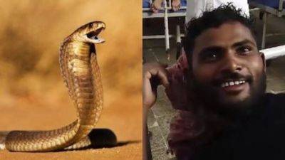 Отомстил: В Индии мужчина закусал змею до смерти - mignews.net - Индия