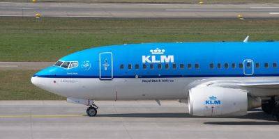 Авиакомпания KLM назвала новые лайнеры Airbus в честь бабочек (видео) - detaly.co.il - Голландия