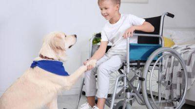 Новое в больницах Израиля: пациентам помогают собаки - vesty.co.il - Израиль