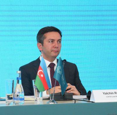 Главный переговорщик COP29 о ключевых направлениях инвестиционной деятельности CFAF - trend.az - Азербайджан