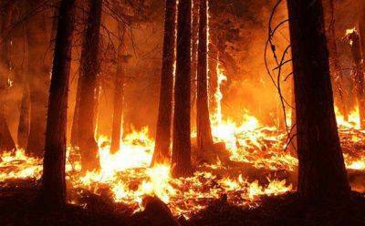 Лесные пожары бушуют на тихоокеанском северо-западе США и на западе Канады - mignews.net - Сша - Канада - Колумбия - штат Орегон - штат Вашингтон