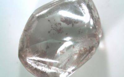 Индийский рабочий выкопал алмаз стоимостью 95 000 долларов - mignews.net - Сша