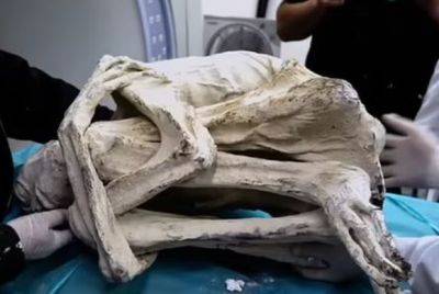 В Перу найдена мумия, не принадлежащая к роду человеческому - mignews.net - Сша - Мексика - штат Колорадо