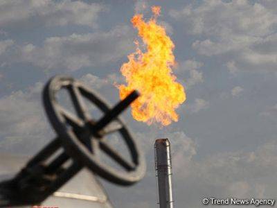 Узбекистан увеличил импорт газа в 4 раза - trend.az - Сша - Узбекистан - Президент
