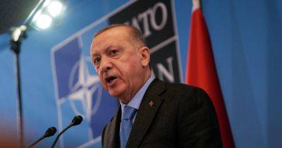 Исраэль Кац - Реджеп Тайип Эрдоган - "Стала членом иранской оси зла": Израиль требует исключить Турцию из НАТО - focus.ua - Израиль - Украина - Турция - Анкара - Йемен - Президент - Хамас