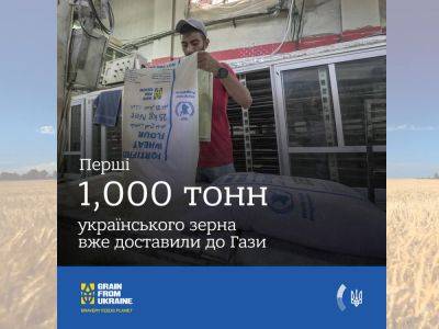 В Сектор Газы доставлено 1000 тонн зерна из Украины в рамках международной программы Grain from Ukraine - nikk.agency - Израиль - Палестина - Россия - Украина