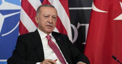 Реджеп Эрдоган - Война в секторе Газа – Турция заблокировала сотрудничество между НАТО и Израилем – Реджеп Эрдоган | OBOZ.UA - obozrevatel.com - Израиль - Палестина - Сша - Турция - Анкара