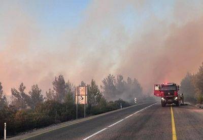 В результате обстрелов из Ливана загорелись леса вокруг Цфата - mignews.net - Ливан