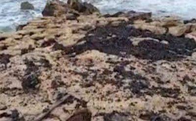 На пляжах на севере Израиля собрано около 70 мешков нефтяных смол - mignews.net - Израиль