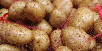 Ожидается дефицит картофеля и рост цен - detaly.co.il - Израиль - Россия