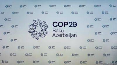 Азербайджан возглавляет COP29: роль "Тройки" в продвижении климатического прогресса - trend.az - Бразилия - Эмираты - Азербайджан